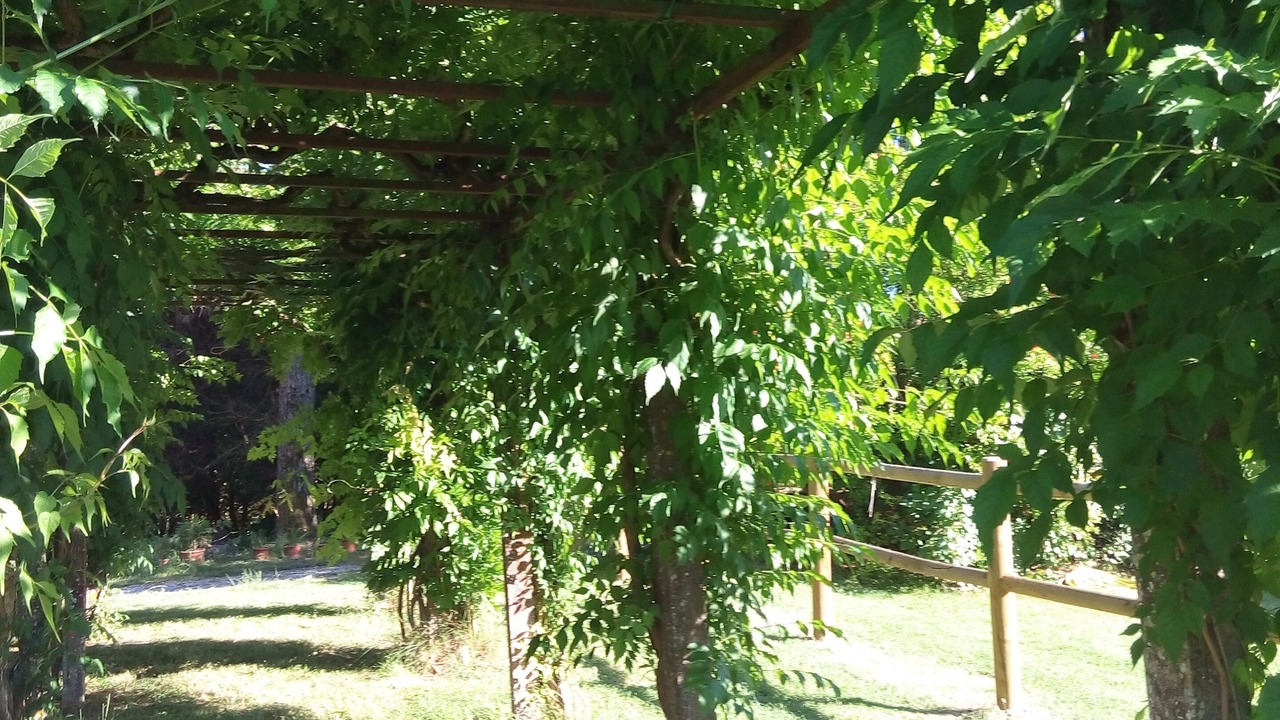 Photo of Outdoor in Sovicille