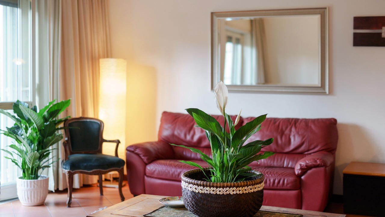 Photo of Livingroom in Naples City Centre