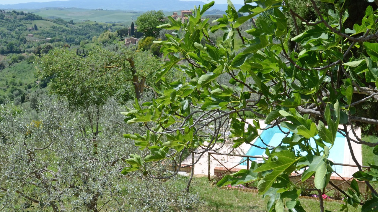 Photo of Outdoor in San Giovanni d'Asso