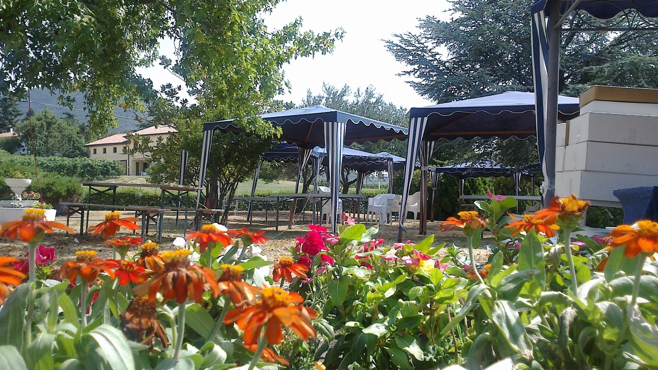 Photo of Outdoor in Vo