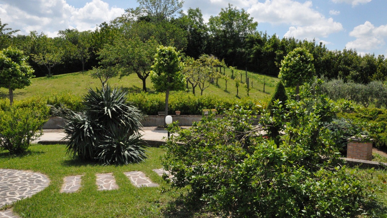 Photo of Outdoor in Montottone