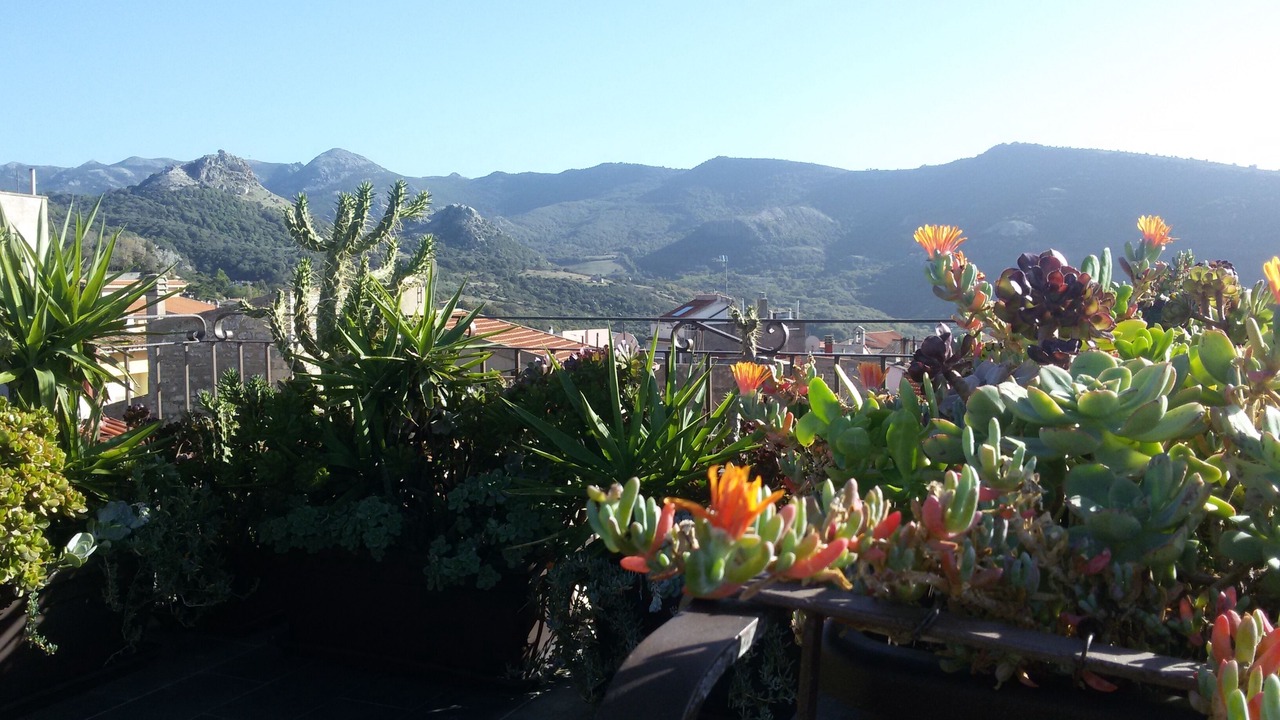 Photo of Outdoor in Cuglieri