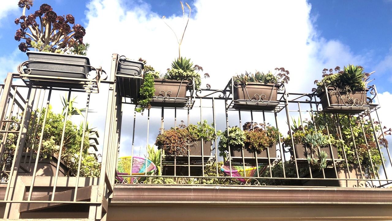 Photo of Outdoor in Cuglieri