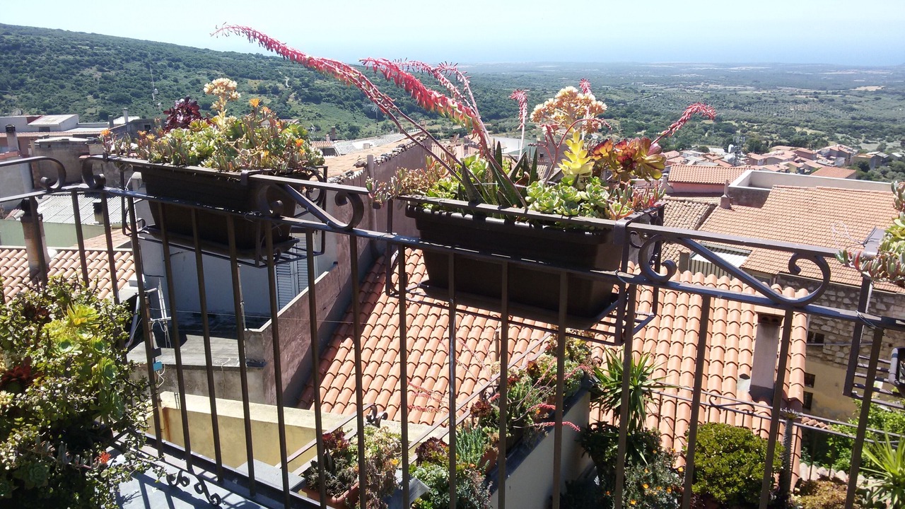 Photo of Outdoor in Cuglieri