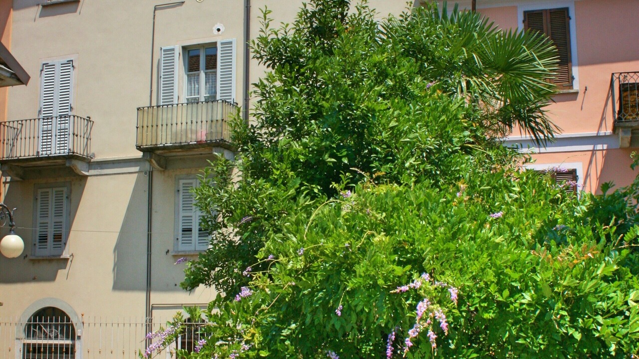 Photo of Outdoor in Intra