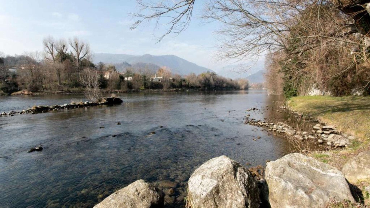 Photo of Others in Romano d'Ezzelino