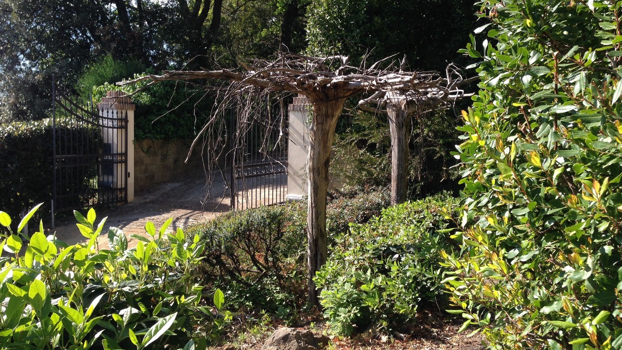 Photo of Outdoor in Montaione