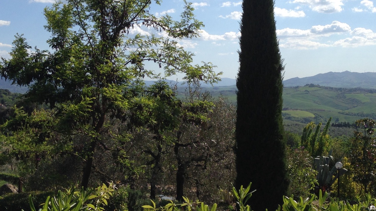 Photo of Others in Montaione