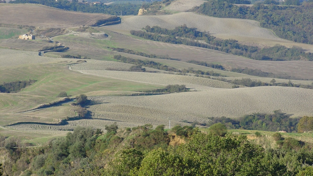 Photo of Outdoor in Montaione