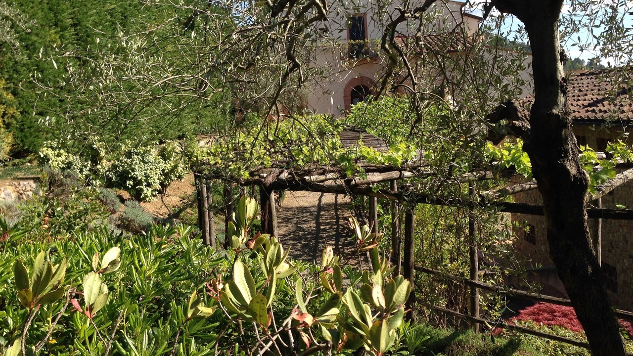Photo of Outdoor in Montaione
