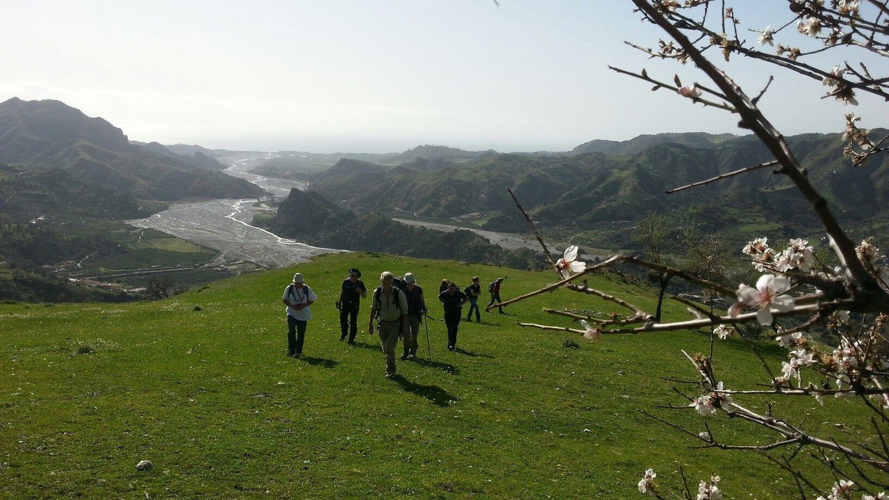 Photo of Others in Staletti