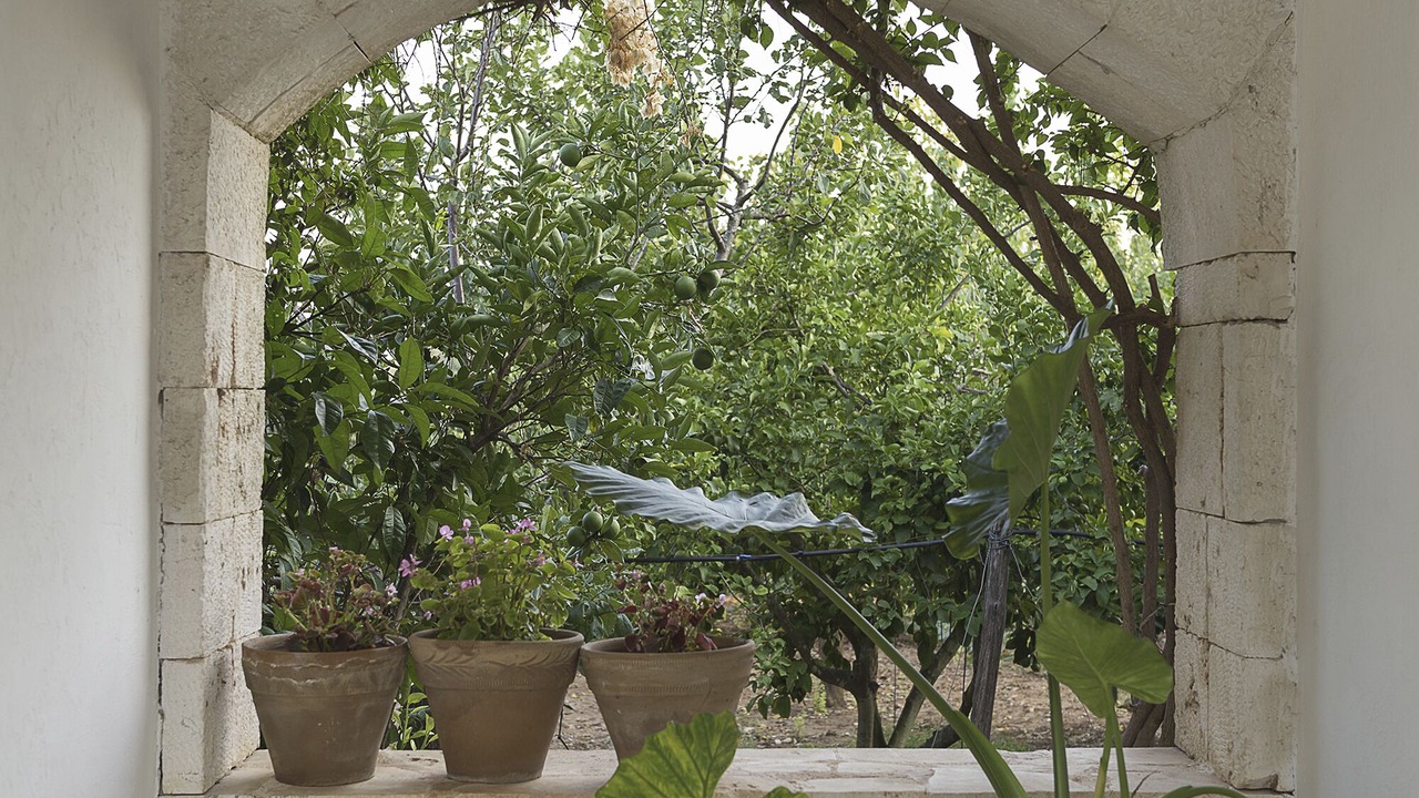 Photo of Outdoor in Francavilla Fontana