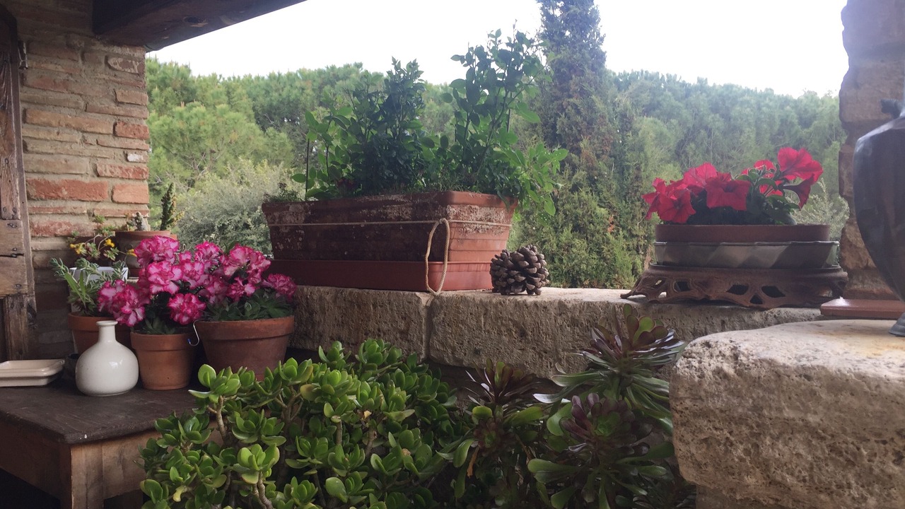 Photo of Outdoor in Chianciano Terme