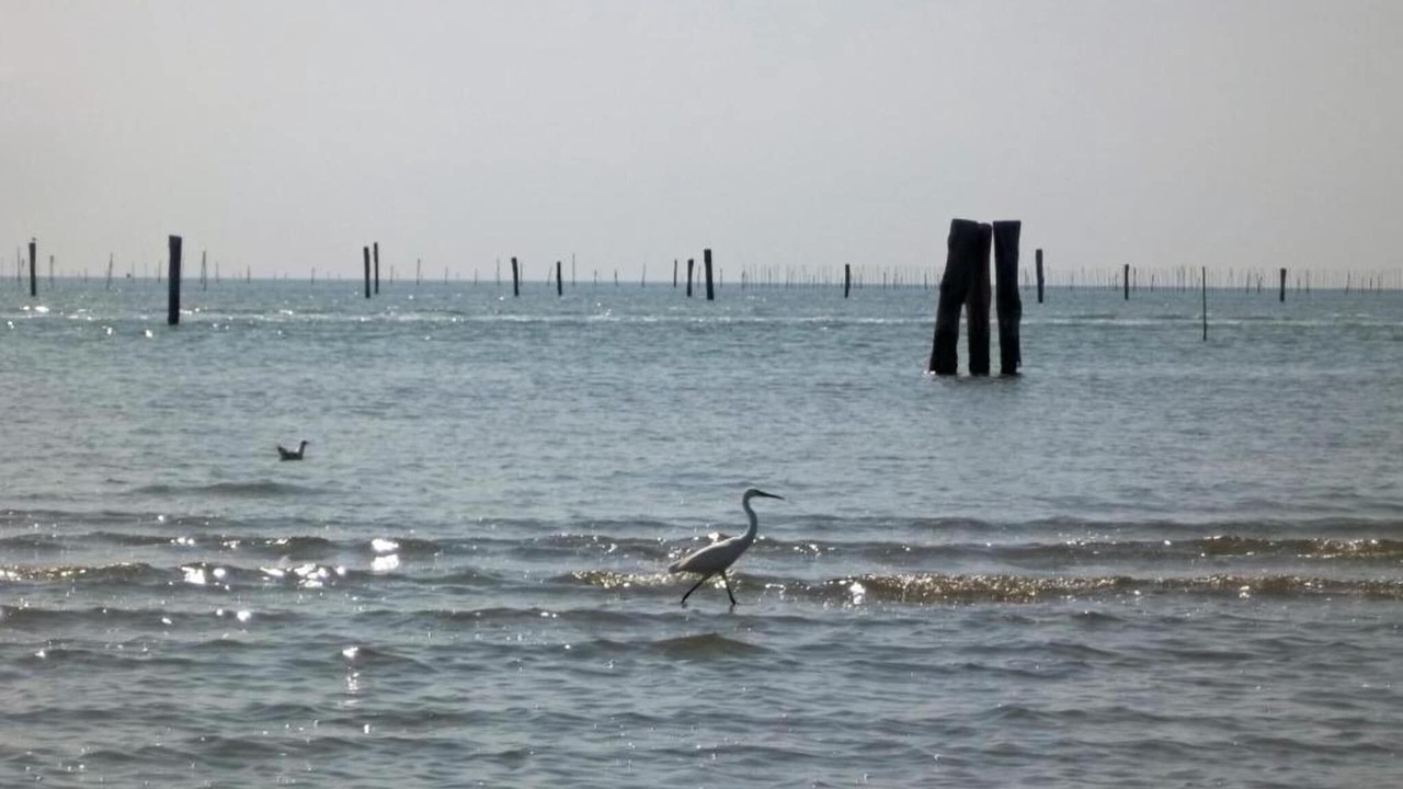 Photo of Others in Vaccolino