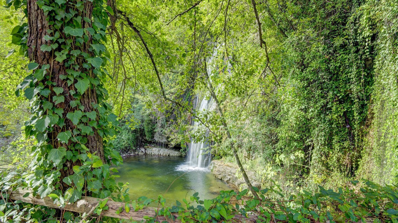 Photo of Others in Roccafluvione