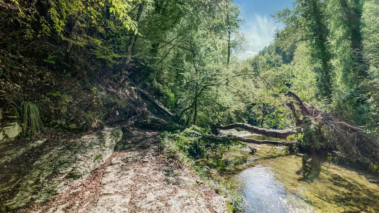 Photo of Others in Roccafluvione