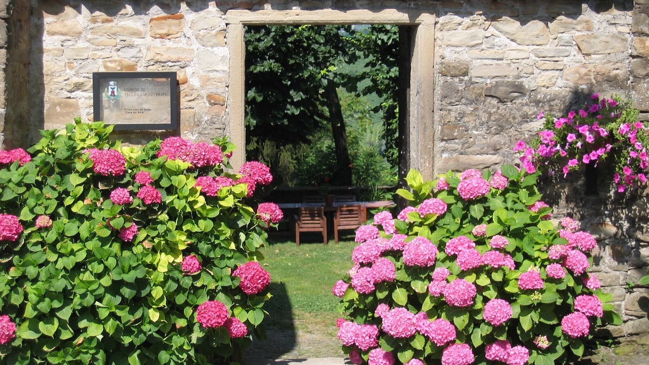 Photo of Outdoor in Saint-remy-de-provence