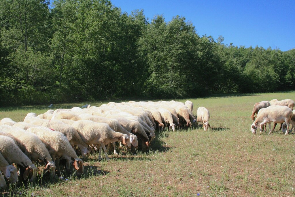 Photo of Outdoor in Sellano