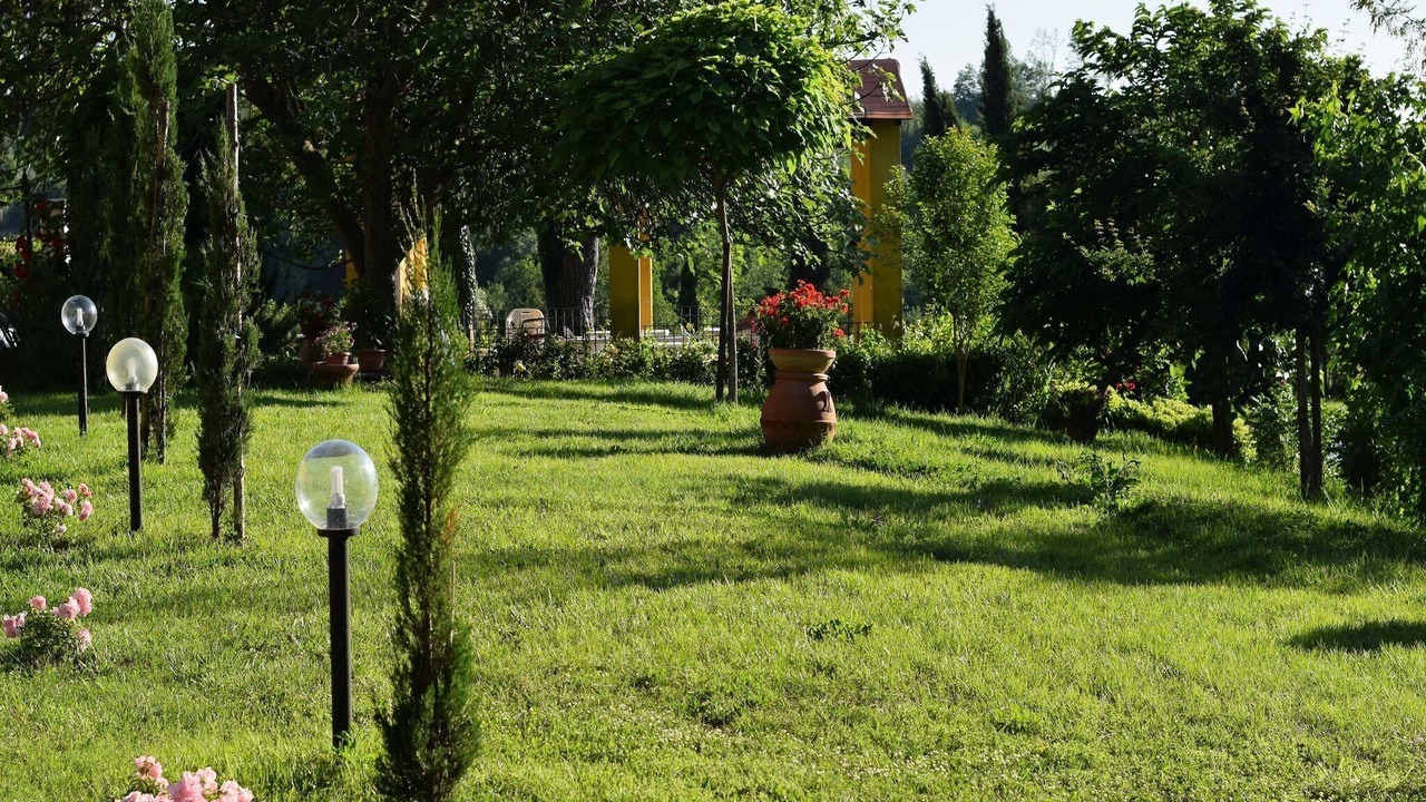 Photo of Outdoor in Vinci