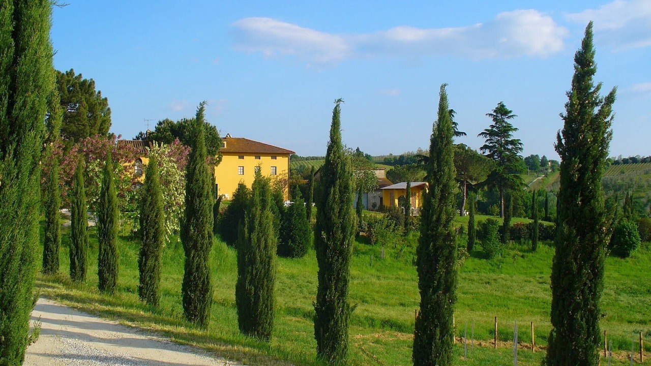 Photo of Outdoor in Vinci