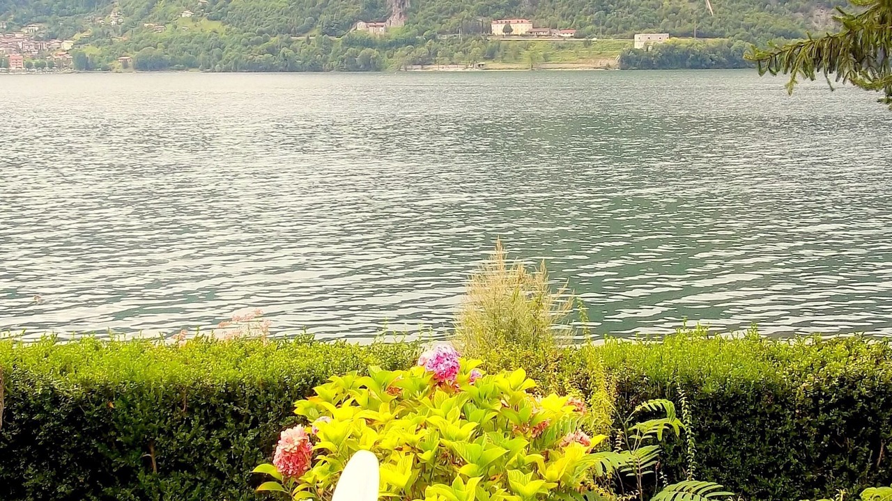 Photo of Others in Idro