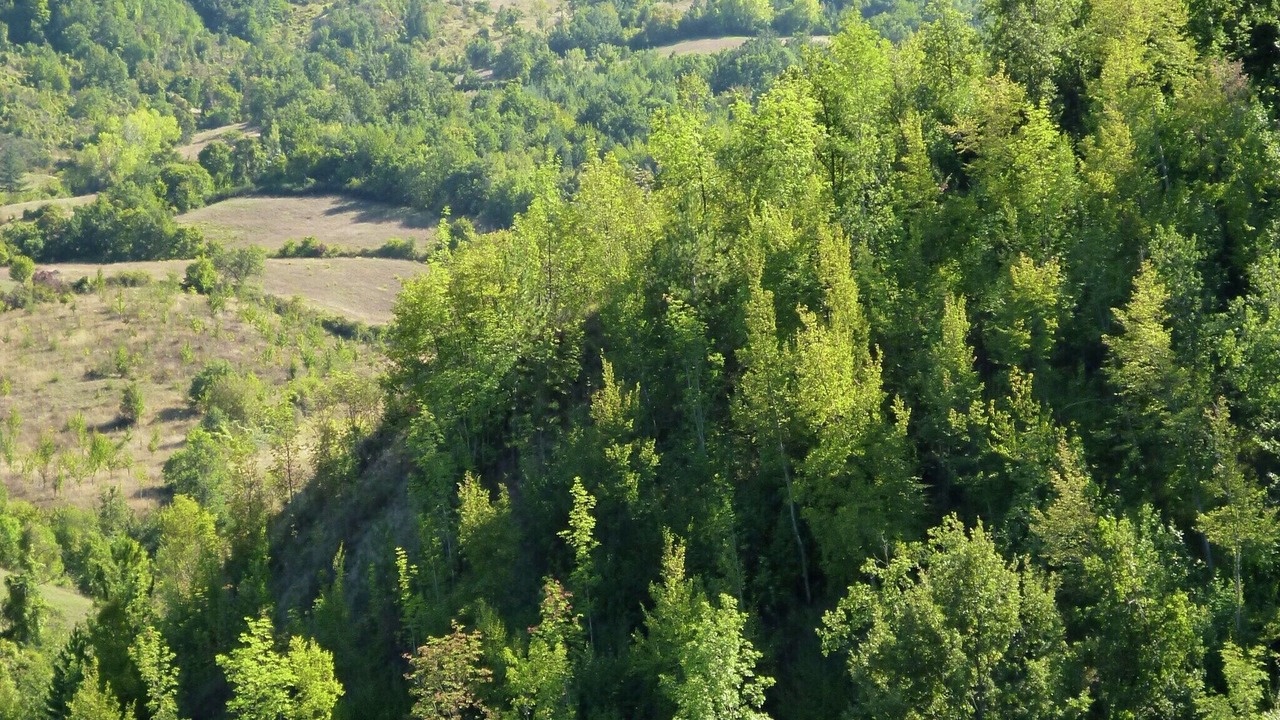 Photo of Others in Seggiano
