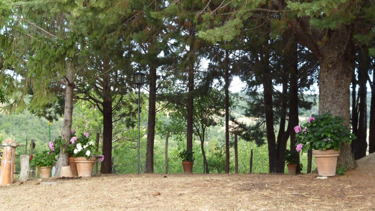 Photo of Outdoor in Seggiano