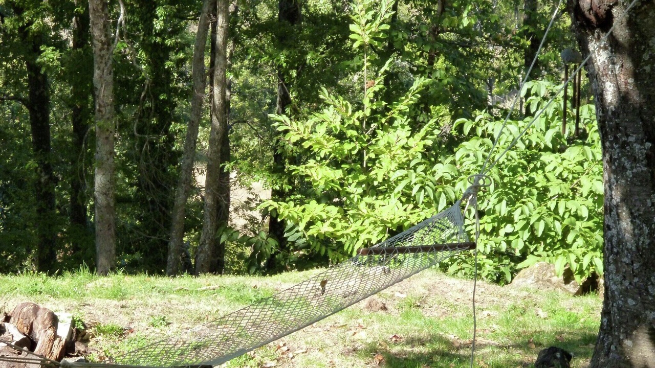 Photo of Outdoor in Seggiano