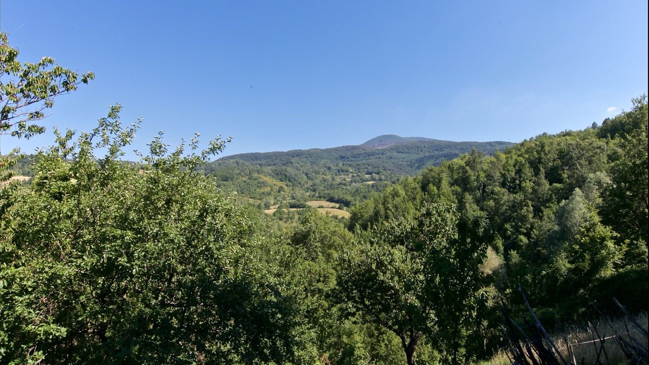 Photo of Others in Seggiano