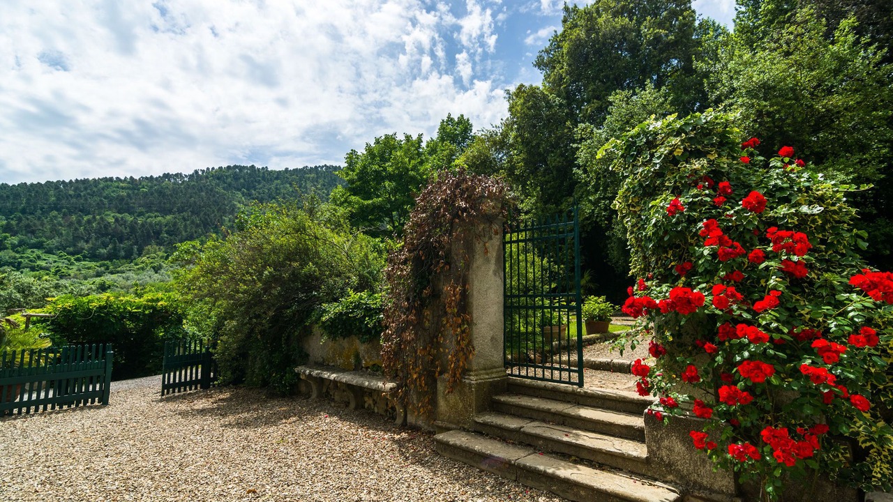 Photo of Outdoor in Bacchereto