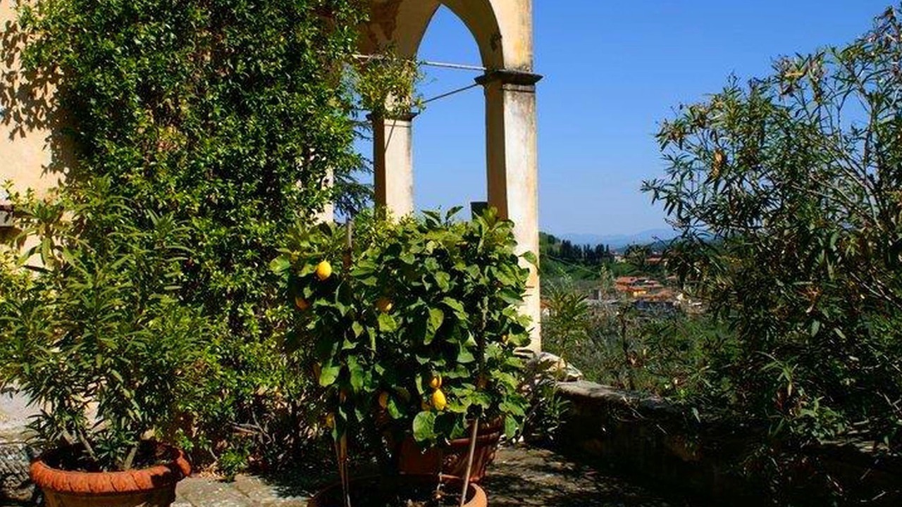 Photo of Patio Balcony in Bacchereto