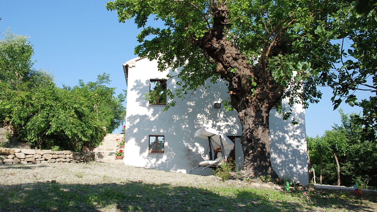 Photo of Outdoor in Rupoli