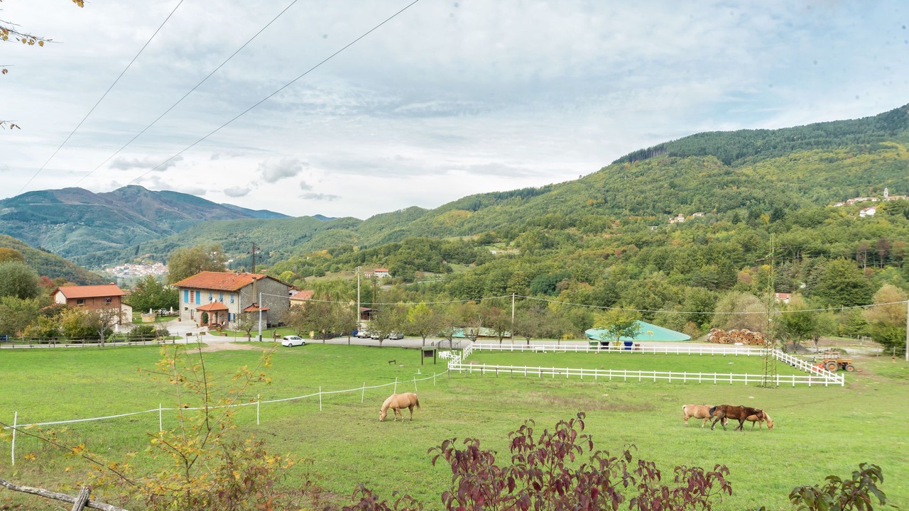 Photo of Others in San Marcello Piteglio