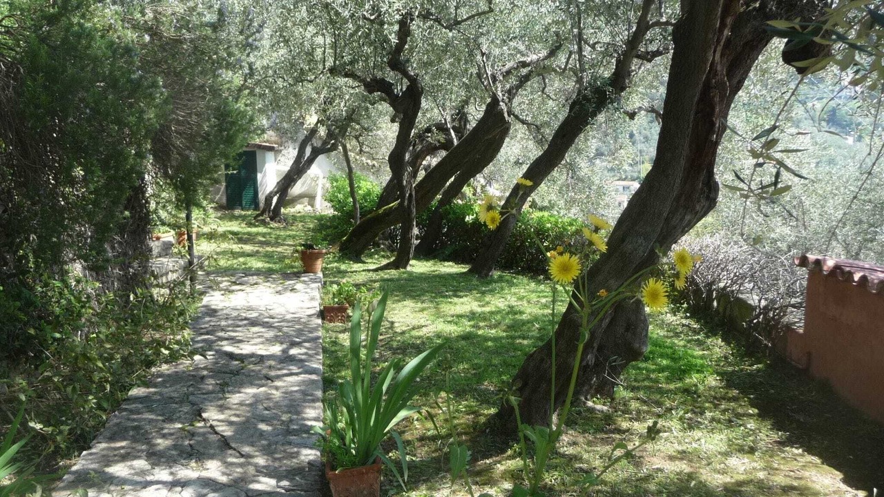 Photo of Outdoor in Lerici