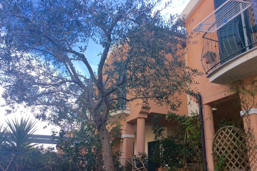 Photo of Buildings in Arbatax