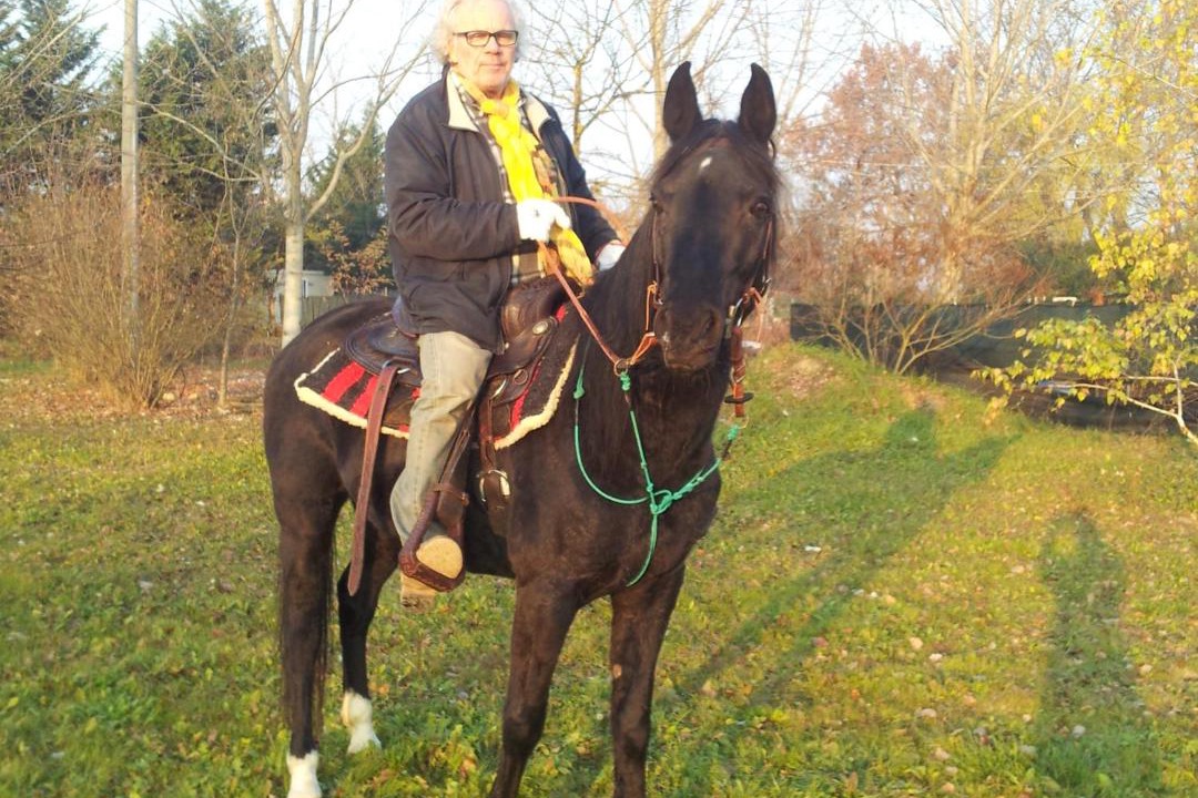 Photo of Others in Novi di Modena