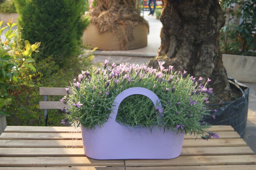 Photo of Outdoor in Centro Giano
