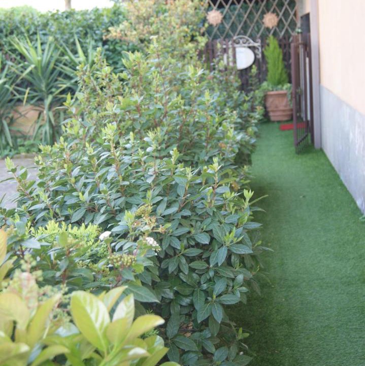 Photo of Others in Centro Giano