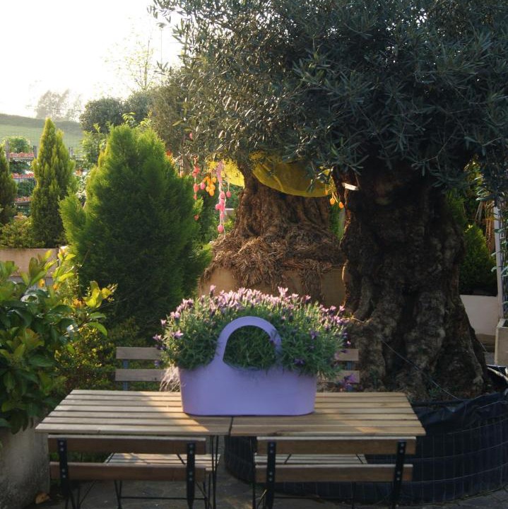Photo of Others in Centro Giano