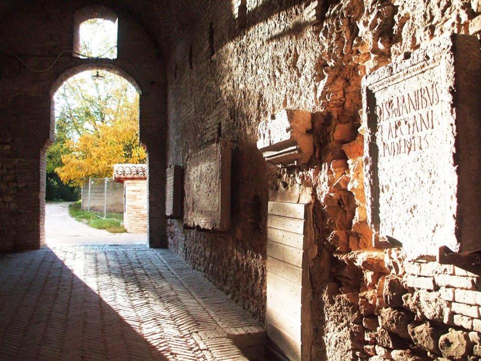 Photo of Others in Fossombrone