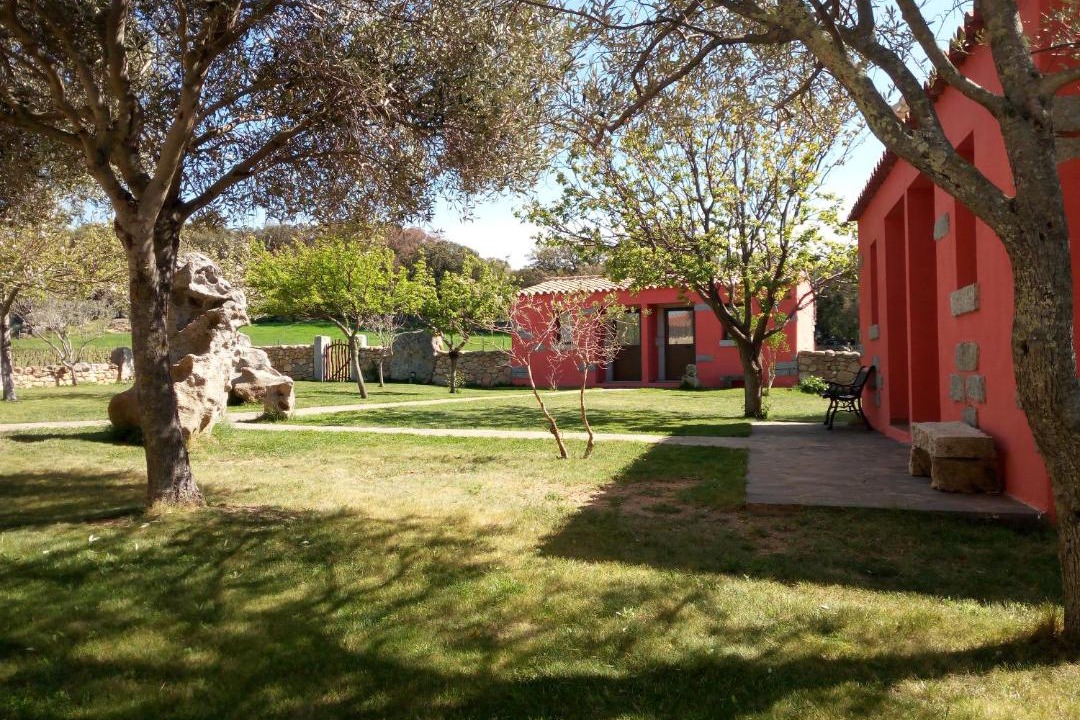 Photo of Others in Sa Castangia
