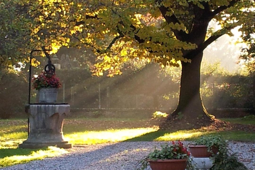 Photo of Others in Guarda Veneta