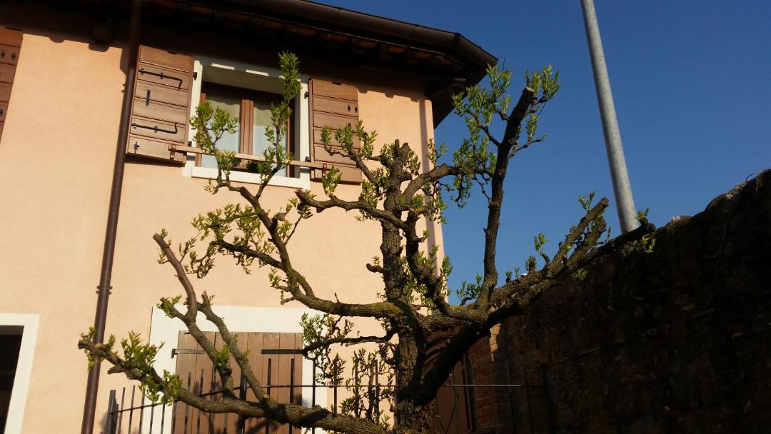 Photo of Others in Bassano del Grappa