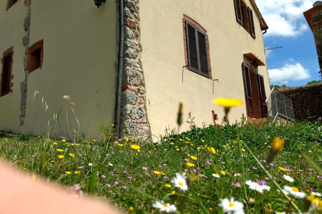 Photo of Others in Massa Marittima