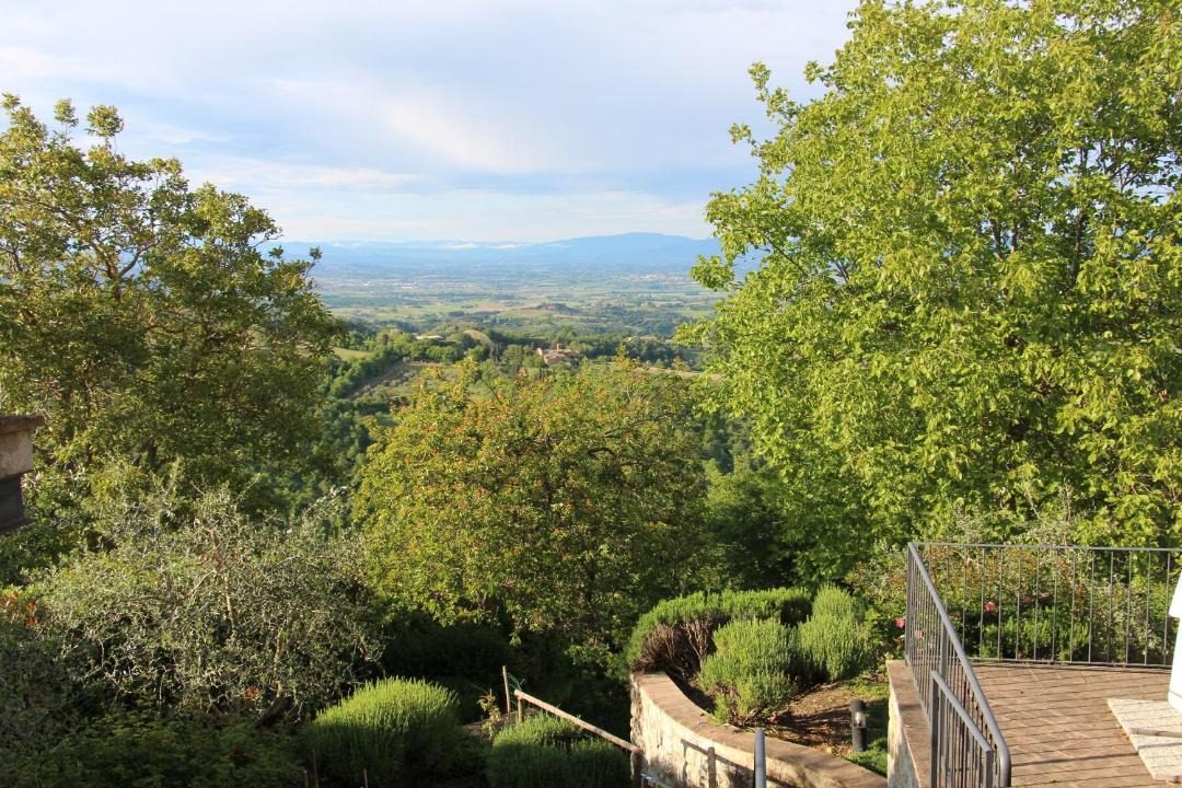 Photo of Others in Montefollonico