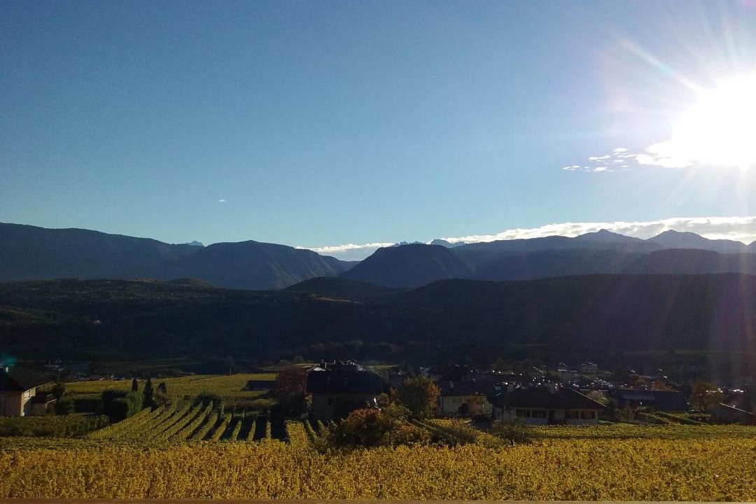 Photo of Others in Caldaro Sulla Strada del Vino