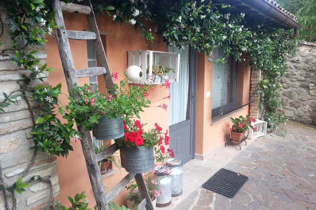 Photo of Others in Colpetrazzo