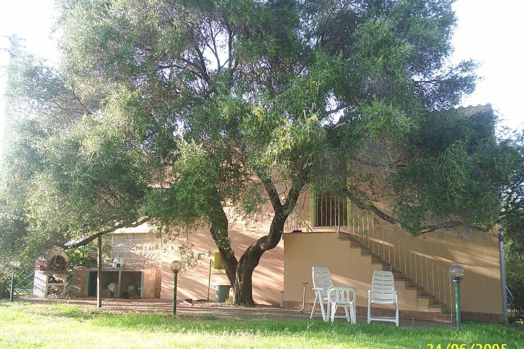 Photo of Others in Tortoli