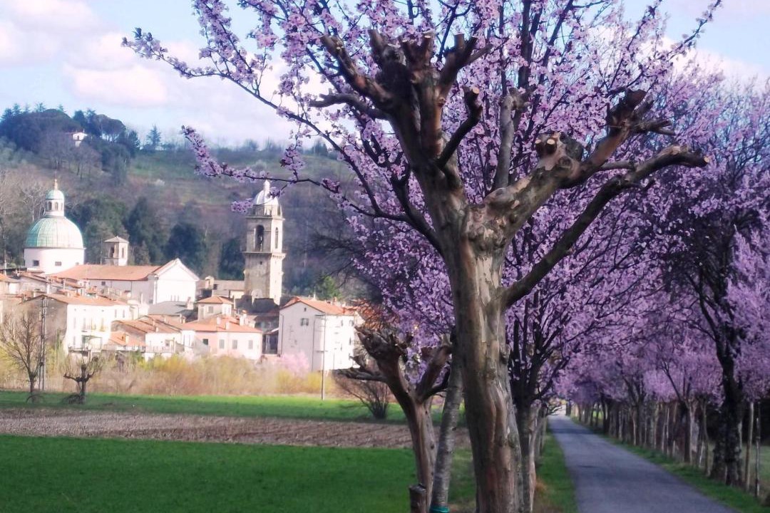 Photo of Others in Pontremoli