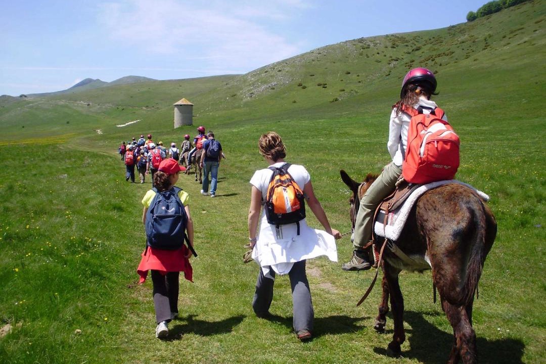Photo of Others in Casali di Serravalle
